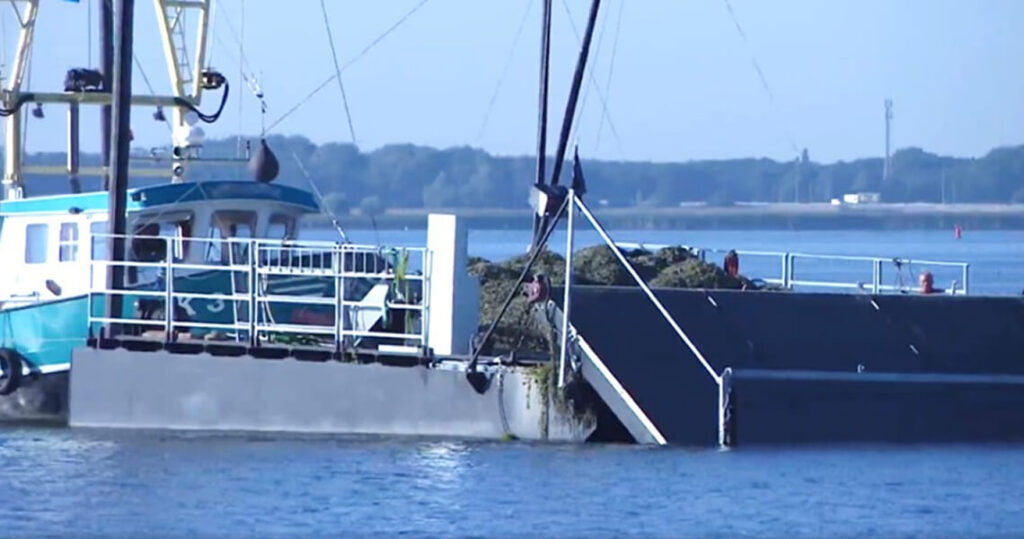 Randmeren-2024-Meting waterplanten-maaiactiviteiten-maaiboot