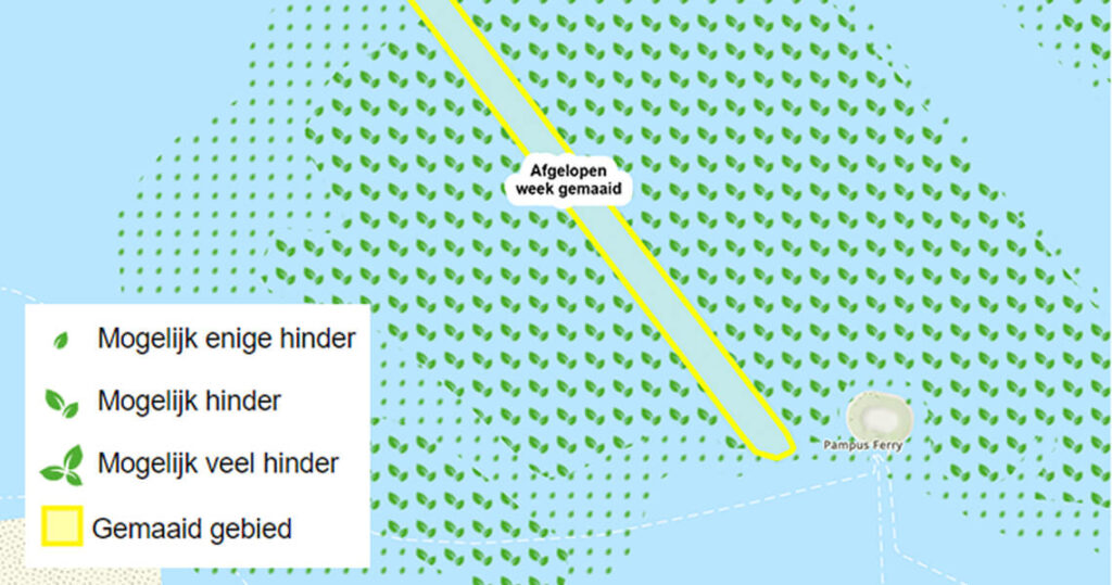 Randmeren-2024-Meting waterplanten-maaiactiviteiten-plantlaag
