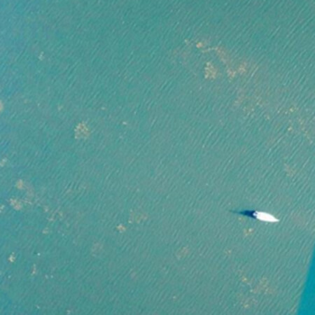 Randmeren-2024-Meting waterplanten-maaiactiviteiten-plantlaag-categorie-2