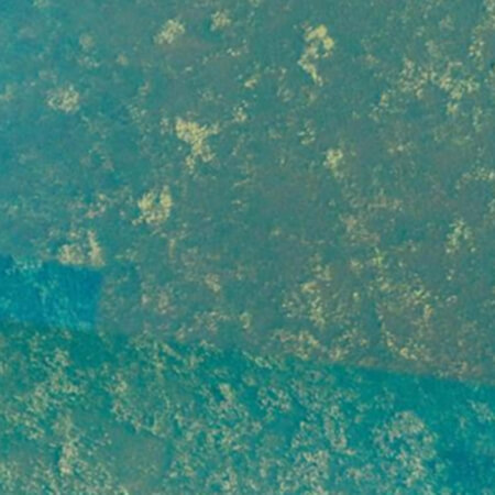 Randmeren-2024-Meting waterplanten-maaiactiviteiten-plantlaag-categorie-3