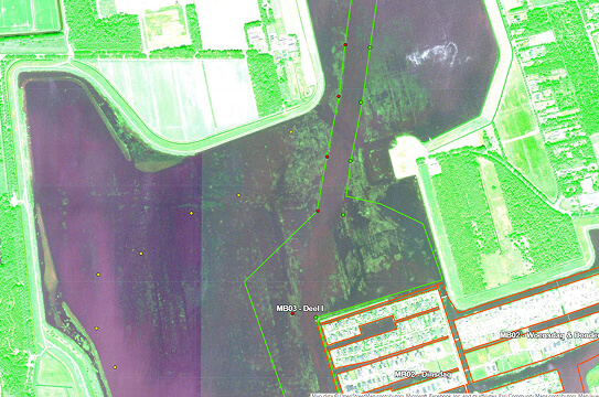 oldambtmeer-2024-meting-waterplanten-en-maaiactiviteiten-waterplanten-2023