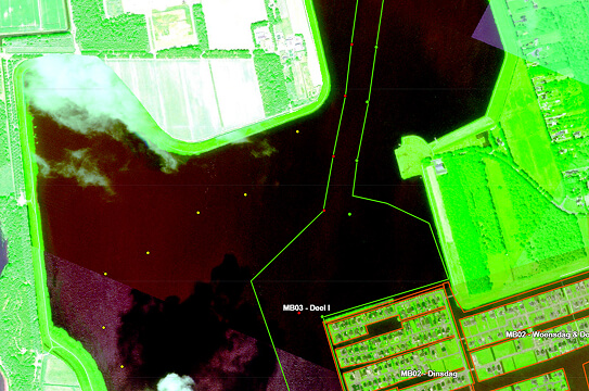 oldambtmeer-2024-meting-waterplanten-en-maaiactiviteiten-waterplanten-2024
