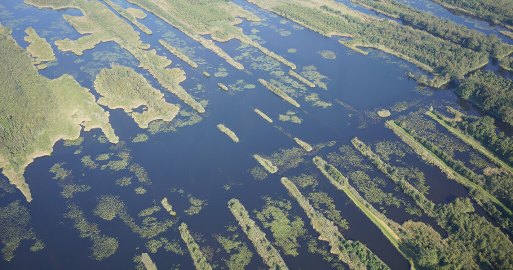 Waterplantengroei-in-de-Oostelijke Vechtplassen-Inzicht-door-Satellietbeelden