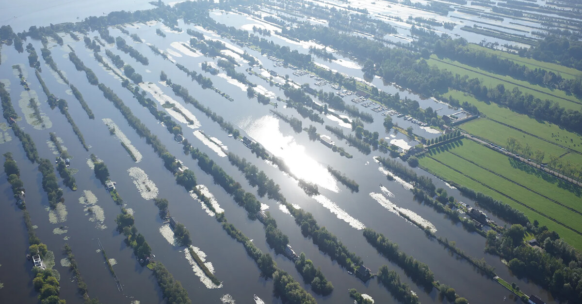 Waterplantengroei-in-de-Oostelijke Vechtplassen-Inzicht-door-Satellietbeelden-featured